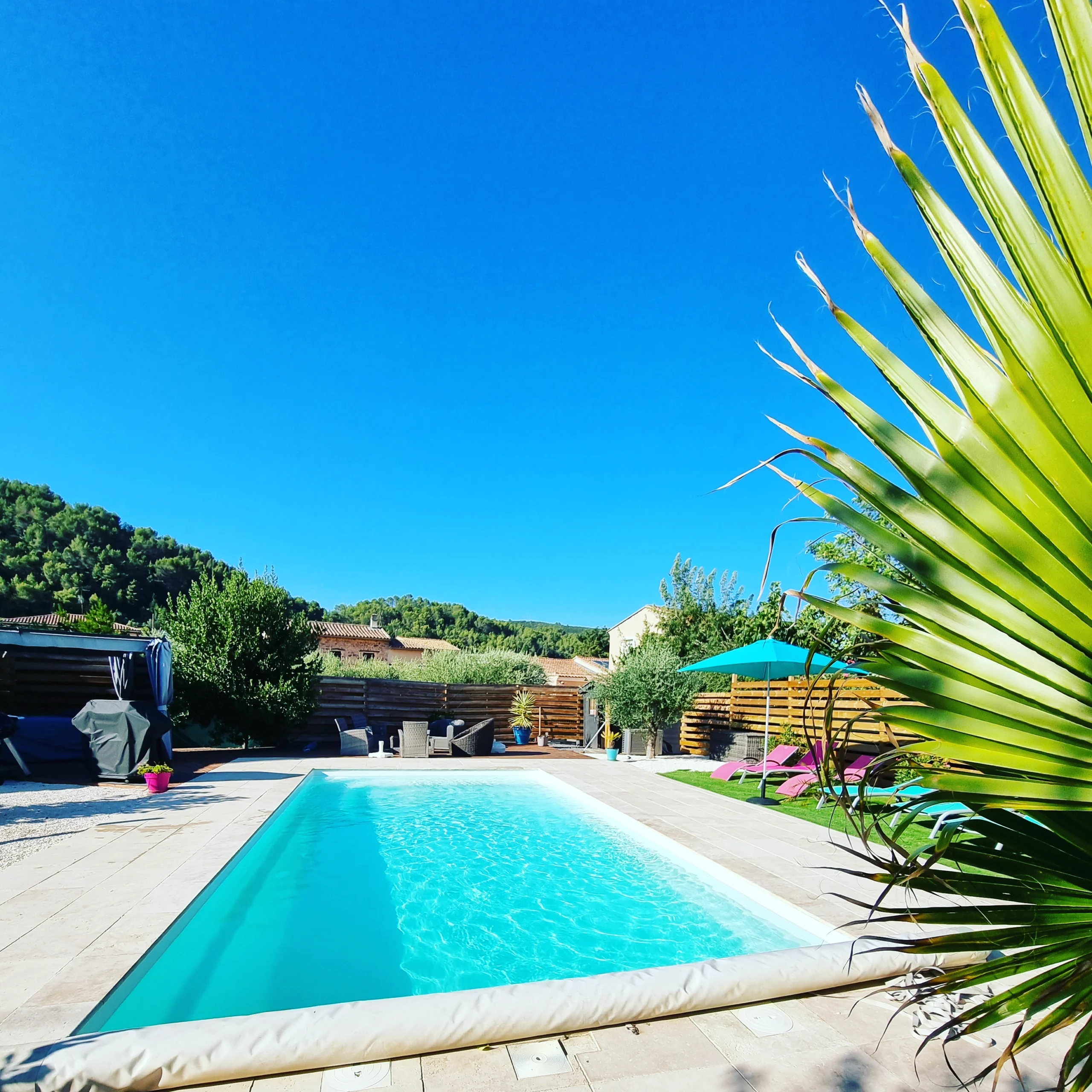 Piscine entérrée eau vert d'eau palmier premier plan