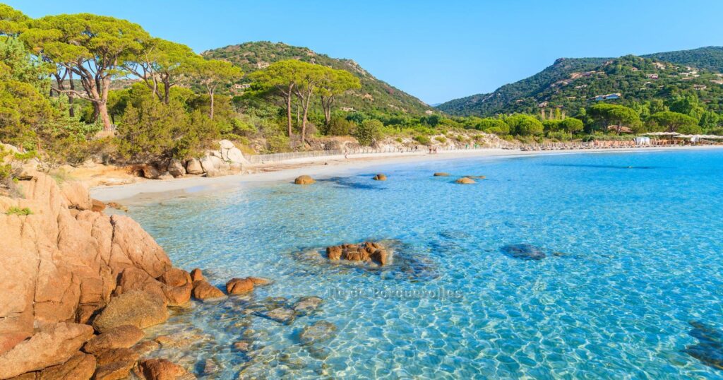 Ile de Porquerolles eaux cristallines