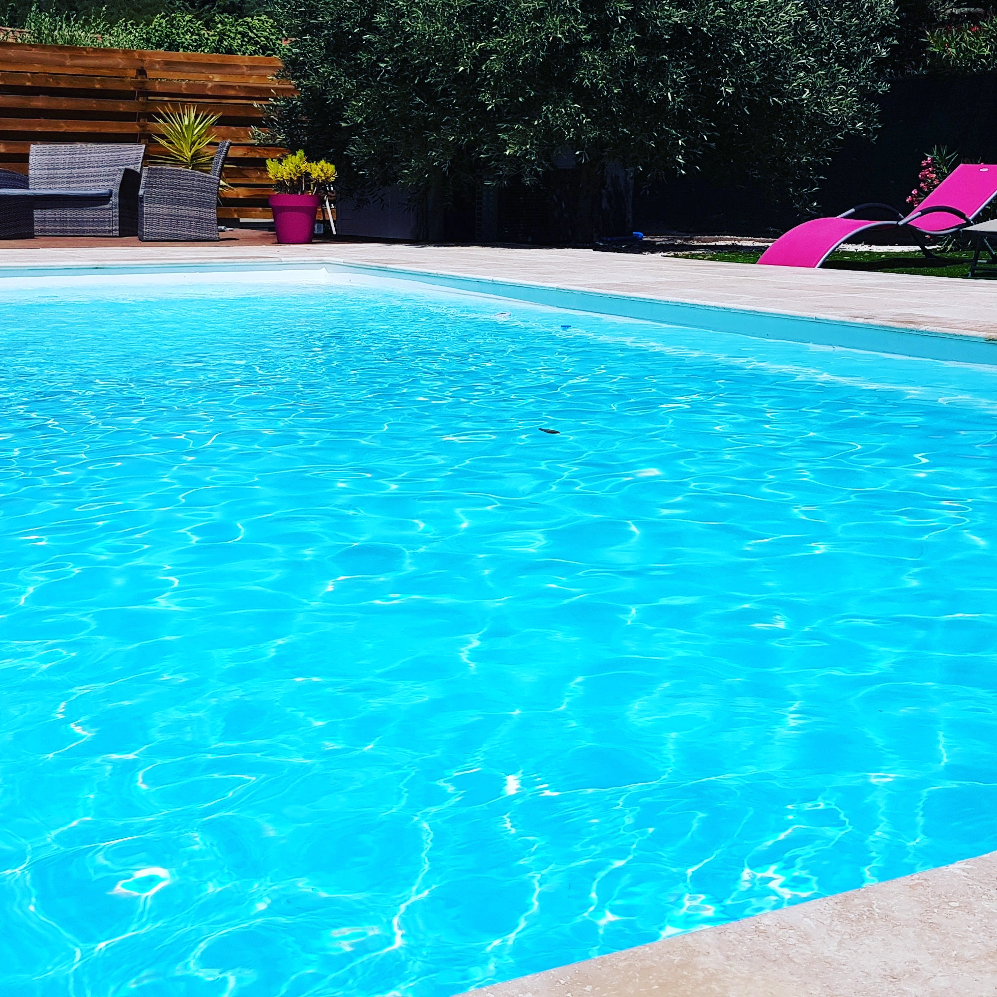 Eau cristalline piscine grand bassin