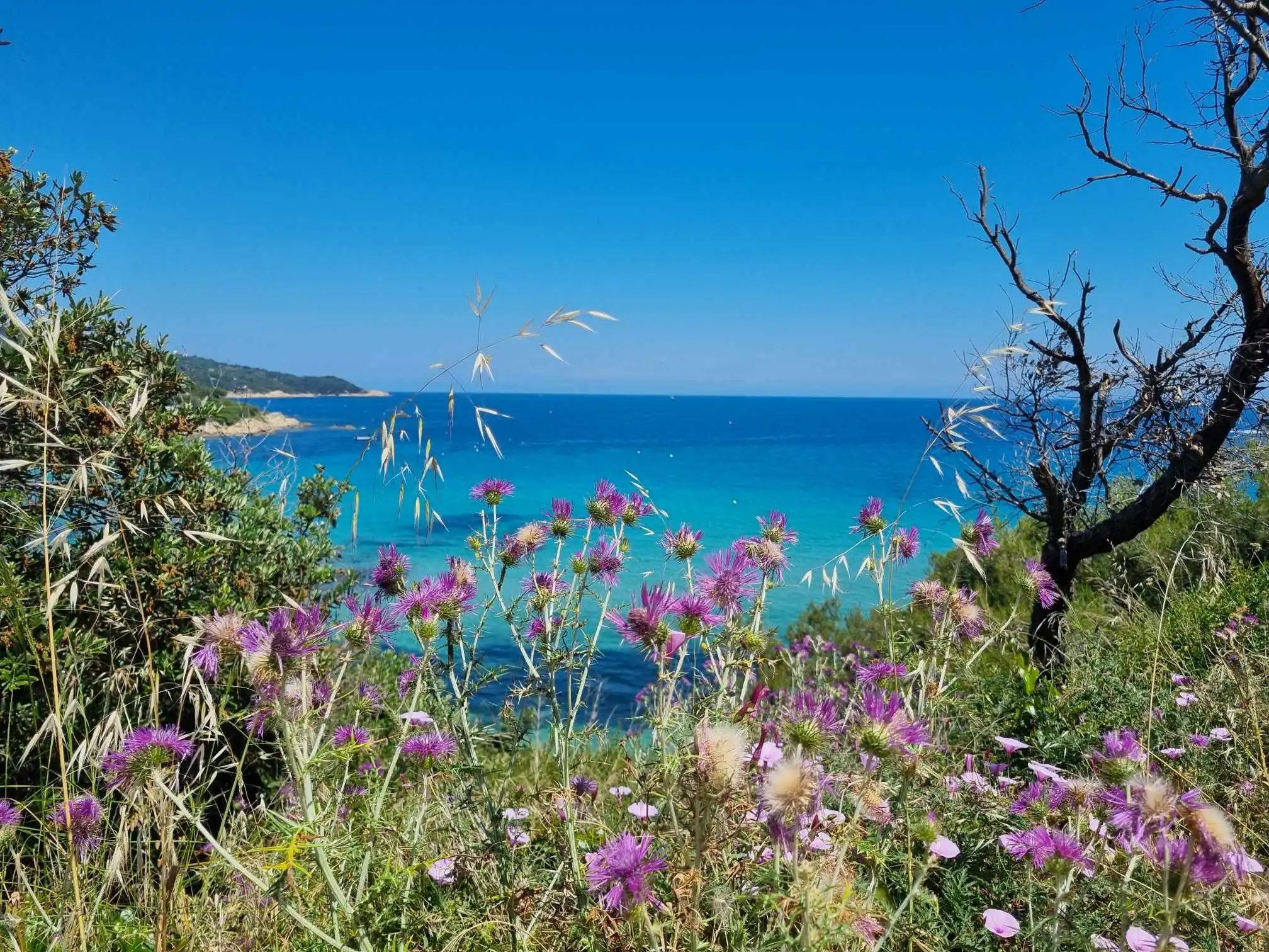 Cap Taillat and L’Escalet, Ramatuelle