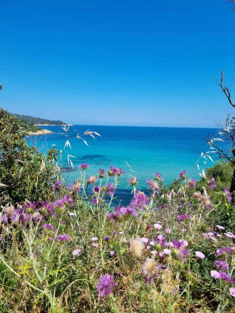 Plage de l’Escalet et Cap Taillat sur la Côte d’Azur